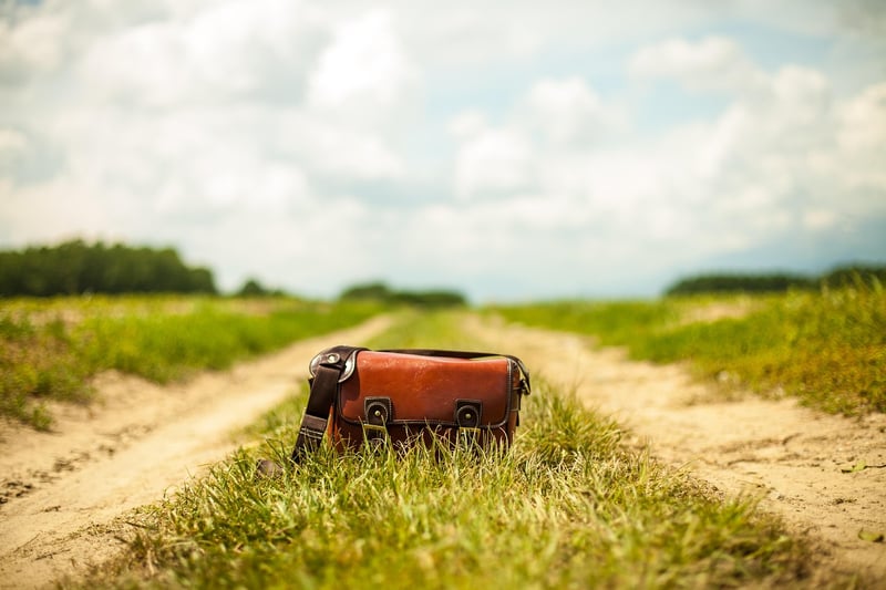 Trendy Handbag